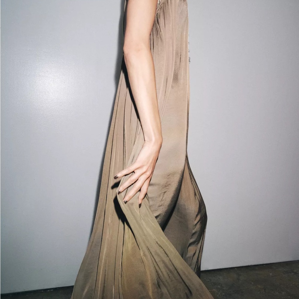 NWOT Zara Maxi Dress in Brown/Beige